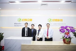 籽微企管廈門(mén)分公司成立，以專業(yè)網(wǎng)站建設(shè)服務(wù)助力福建中小微企業(yè)成長(zhǎng)